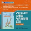 DeepSeek大模型与具身智能实践 商品缩略图0