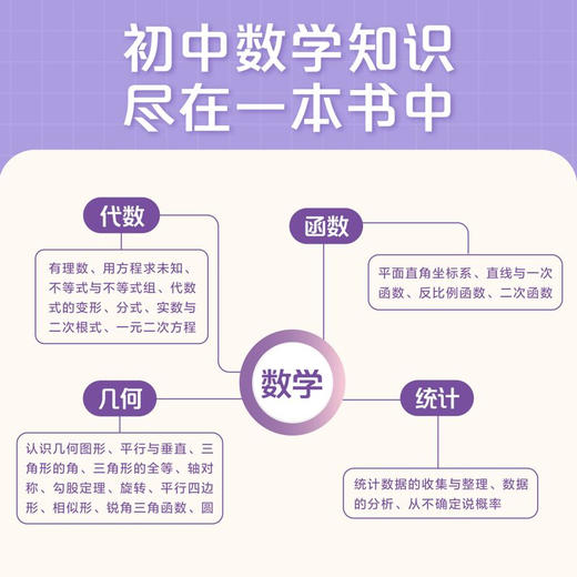 一本书学完初中数学 商品图3