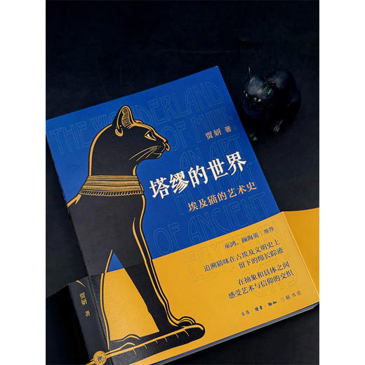 塔缪的世界:埃及猫的艺术史 商品图2