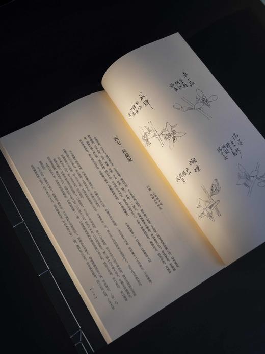 【重磅推荐】《兰谱录》甲集，储鹏 编，一函五册，六眼线装，预共900筒子页以上。成书尺寸（长35.8×宽22.6×厚12）cm，约重7.5KG。正文用纸为仿古特种纸印刷；插页为洒金宣以及白宣 商品图12