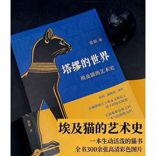 塔缪的世界:埃及猫的艺术史 商品图1