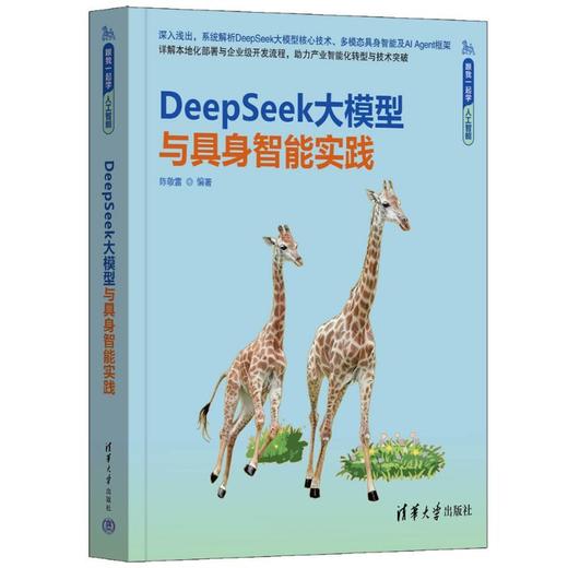 DeepSeek大模型与具身智能实践 商品图2