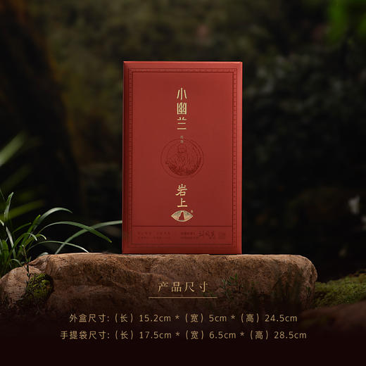 岩上 | 若谷·小幽兰 | 50g（10gx5泡） 商品图2