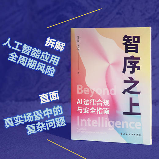 智序之上:AI法律合规与安全指南 商品图2