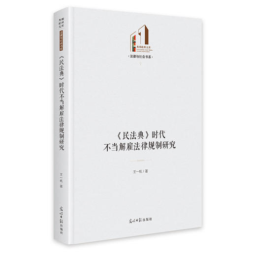 《民法典》时代不当解雇法律规制研究 商品图0