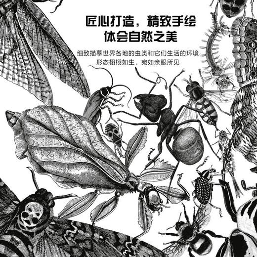 虫之国度 商品图2