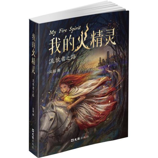 我的火精灵:流放者之路 商品图0