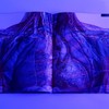 探秘人体 商品缩略图3