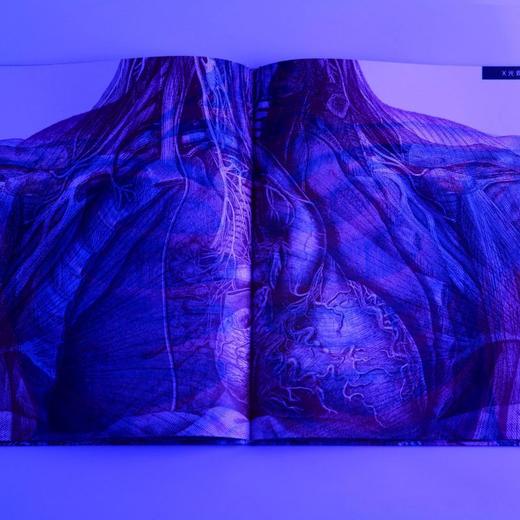 探秘人体 商品图3