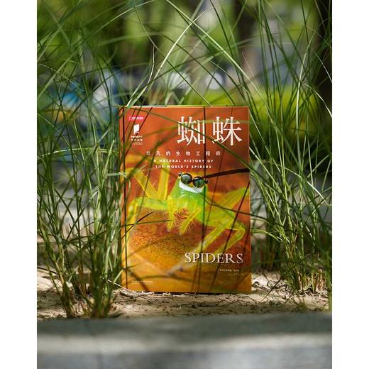 蜘蛛:非凡的生物工程师 商品图1