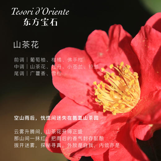 【泡沫绵密 留香持久】Tesori D' oriente东方宝石 泡沫细腻易冲洗 洗完清爽不假滑 450ml/瓶 商品图7