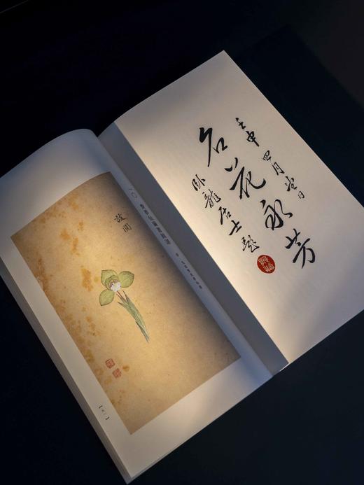 【重磅推荐】《兰谱录》甲集，储鹏 编，一函五册，六眼线装，预共900筒子页以上。成书尺寸（长35.8×宽22.6×厚12）cm，约重7.5KG。正文用纸为仿古特种纸印刷；插页为洒金宣以及白宣 商品图5