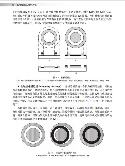 医学细胞生物学实验（第2版）姜志胜 9787030864376 商品图14