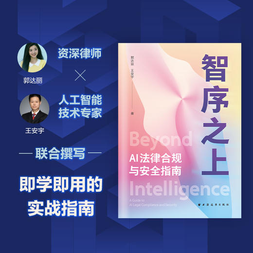 智序之上:AI法律合规与安全指南 商品图1