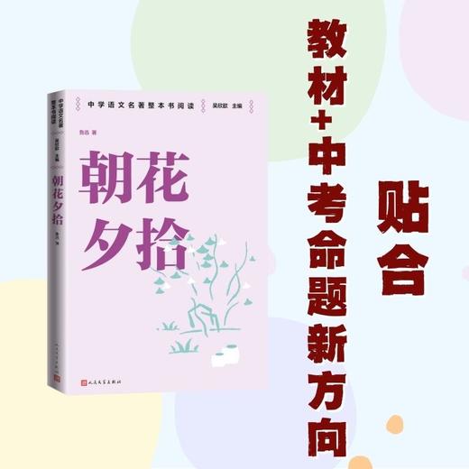 朝花夕拾 商品图2