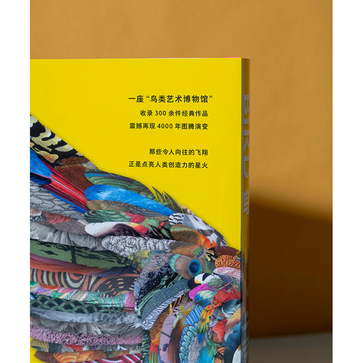 鸟:探索飞翔的世界 商品图2