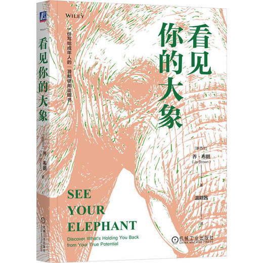 看见你的大象 商品图0