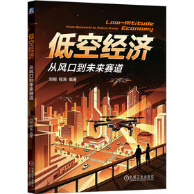 低空经济:从风口到未来赛道