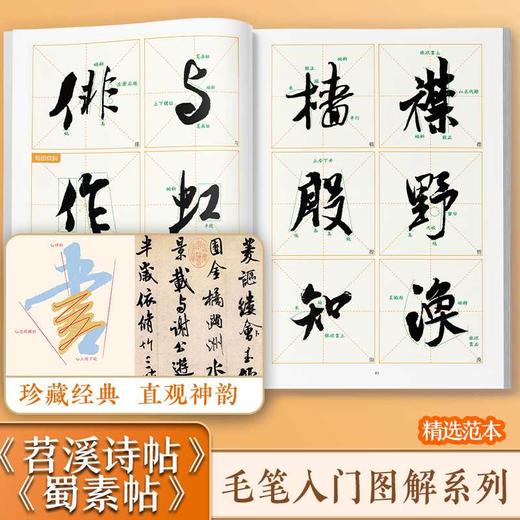 米芾《苕溪诗帖》《蜀素帖》入门图解 商品图1