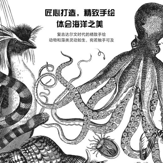 海洋巡航 商品图3