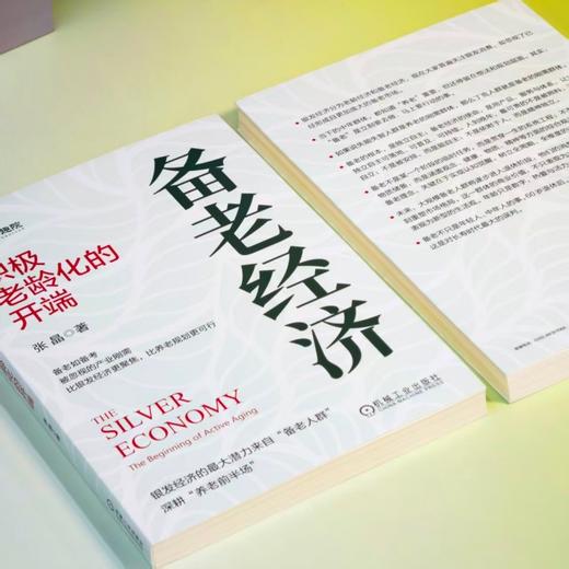 备老经济:积极老龄化的开端 商品图1