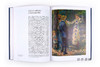 【法文原版】Renoir Et L'Amour: Une Modernite Heureuse  1865-1885 / 雷诺阿与爱情：幸福的现代性，1865-1885 商品缩略图3