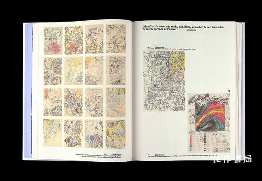【法文原版】Art Brut: Dans L'Intimite D'Une Collection: La Donation Decharme Au Centre Pompidou / 原生艺术：走进收 商品图3