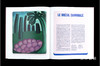 【法文原版】Tarsila Do Amaral / 塔尔西拉·杜·阿马拉尔 商品缩略图4
