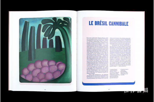 【法文原版】Tarsila Do Amaral / 塔尔西拉·杜·阿马拉尔 商品图4