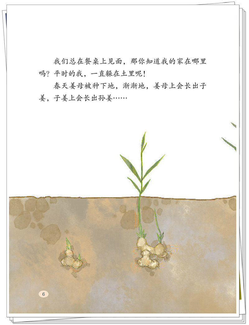 试读2.jpg
