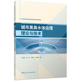 城市黑臭水体治理理论与技术