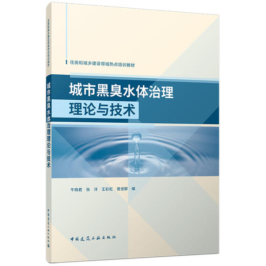 城市黑臭水体治理理论与技术 商品图0