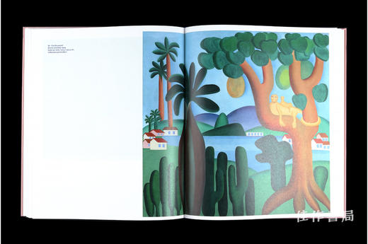 【法文原版】Tarsila Do Amaral / 塔尔西拉·杜·阿马拉尔 商品图3