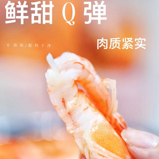疯抢中！！顺丰直发【渤海有机无抗盐田虾】肉质饱满鲜甜肥美 低脂高蛋白 免去虾线 男女老少皆宜 300g/袋 商品图10