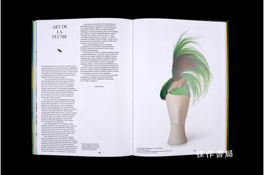 【法文原版】Plumes Du Paradis: Voyages D'Un Oiseau Extraordinaire De Nouvelle-Guinee / 天堂之羽：一只来自新几内亚的非凡鸟类之 商品图4