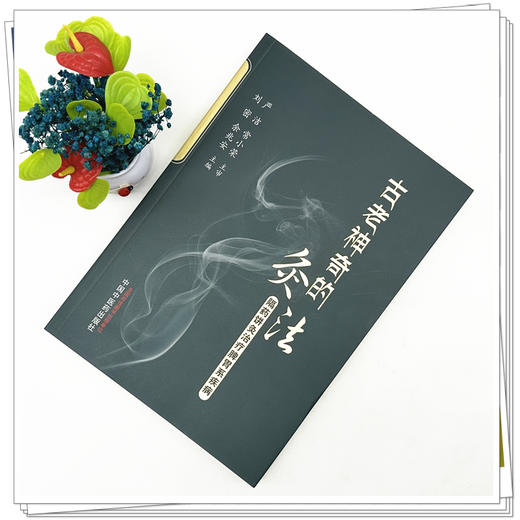 古老神奇的灸法:隔药饼灸治疗脾胃系疾病 刘密 余兆安 主编 中国中医药出版社 商品图1