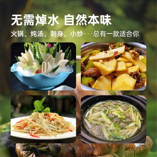 甜龙玉笋 生吃自然清甜纤维细腻几乎无渣 汁水饱满脆嫩 无需焯水去涩 绿色食品 商品图1