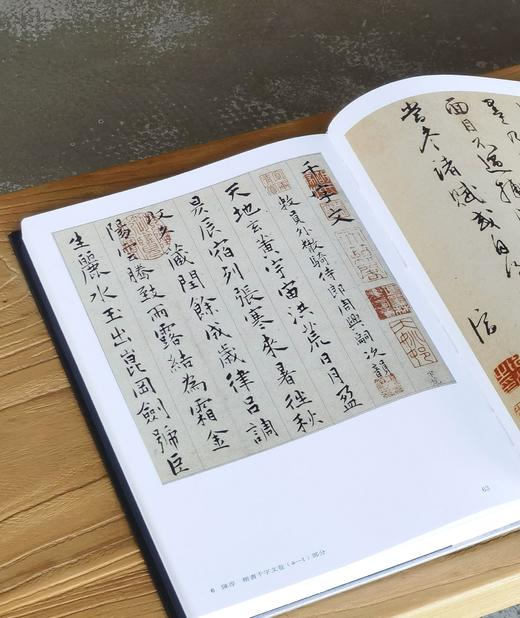 【特惠】《中国书法全集51 陈淳 王宠卷》，16开，精装，中国书法全集编委会编，荣宝斋出版社2014年一版一印，358页，定价280，售价106元 商品图7