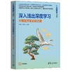 深入浅出深度学习——大模型开发必由之路 商品缩略图0