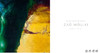 【法文原版】Zao Wou-Ki: Catalogue Raisonne Des Peintures. Vol. 3. 1975-2008 / 赵无极：绘画作品全集目录，第3卷，1975-2008 商品缩略图2
