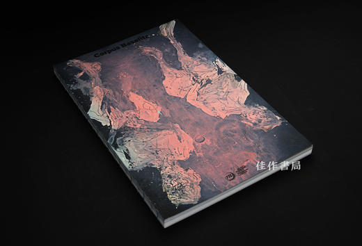 【法文原版】Corpus Baselitz / 巴塞利茨作品全集 商品图1