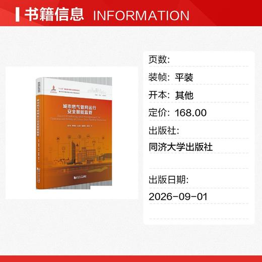 城市燃气管网运行安全智能监管(城市市政管网运行安全保障系列) 商品图1