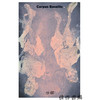 【法文原版】Corpus Baselitz / 巴塞利茨作品全集 商品缩略图0
