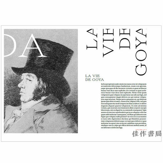 【法文原版】Experience Goya / 体验戈雅 商品图3