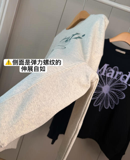 韩国订单雏菊纯棉毛圈棉卫衣 商品图7