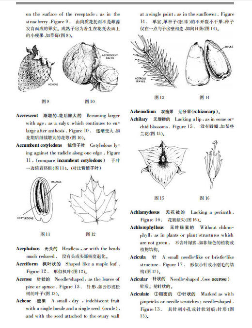 图解植物学词典 李承森 9787030095794 商品图12