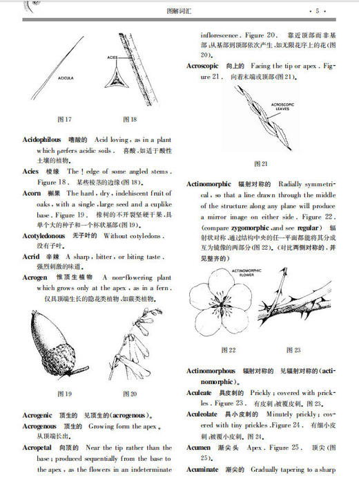 图解植物学词典 李承森 9787030095794 商品图13