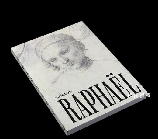 【法文原版】Experience Raphael / 体验拉斐尔 商品图1