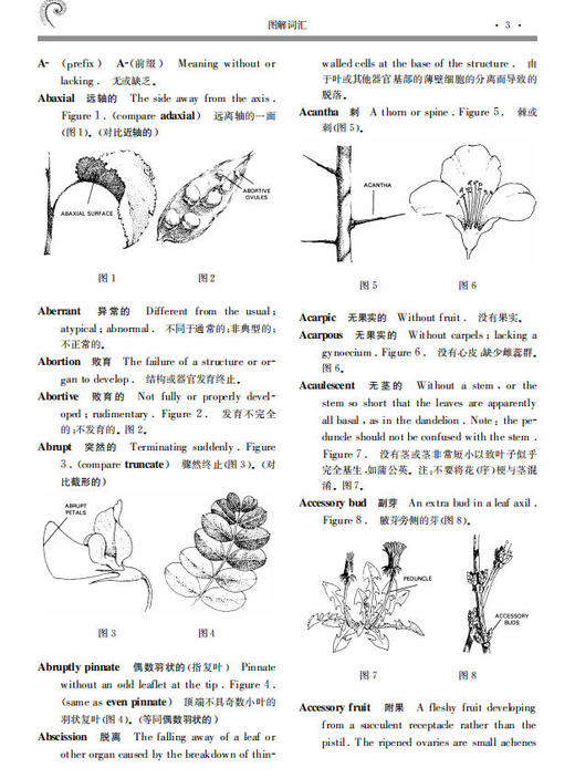 图解植物学词典 李承森 9787030095794 商品图11