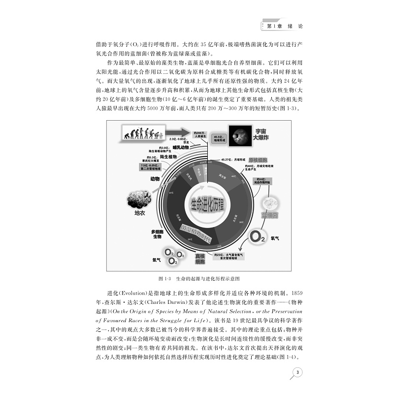 试读PDF-9787308279314(1-1)-藻际微生物学导论_012.jpg